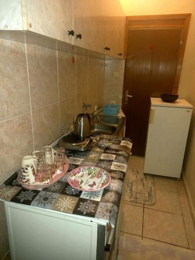 2 Bedroom Centre Apartment Podgoriţa Exterior foto